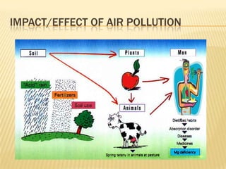 IMPACT/EFFECT OF AIR POLLUTION
 
