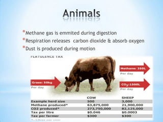 * Methane gas is emmited during digestion
* Respiration releases carbon dioxide & absorb oxygen
* Dust is produced during motion

 