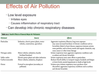 Effects of Air Pollution
• Low level exposure
• Irritates eyes
• Causes inflammation of respiratory tract
• Can develop into chronic respiratory diseases
 