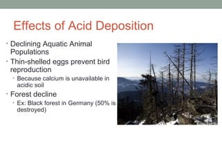 Effects of Acid Deposition
• Declining Aquatic Animal
Populations
• Thin-shelled eggs prevent bird
reproduction
• Because calcium is unavailable in
acidic soil
• Forest decline
• Ex: Black forest in Germany (50% is
destroyed)
 