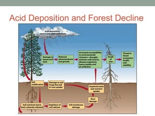 Acid Deposition and Forest Decline
 