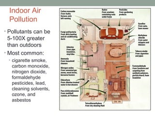 Indoor Air
Pollution
• Pollutants can be
5-100X greater
than outdoors
• Most common:
• cigarette smoke,
carbon monoxide,
nitrogen dioxide,
formaldehyde
pesticides, lead,
cleaning solvents,
ozone, and
asbestos
 