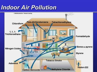 Indoor Air Pollution
 