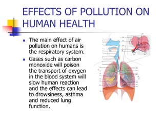 EFFECTS OF POLLUTION ON
HUMAN HEALTH
 The main effect of air
pollution on humans is
the respiratory system.
 Gases such as carbon
monoxide will poison
the transport of oxygen
in the blood system will
slow human reaction
and the effects can lead
to drowsiness, asthma
and reduced lung
function.
 