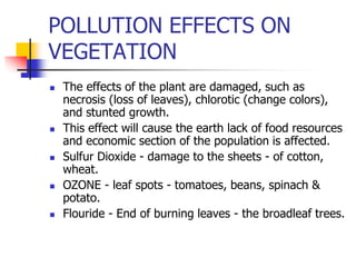 POLLUTION EFFECTS ON
VEGETATION
 The effects of the plant are damaged, such as
necrosis (loss of leaves), chlorotic (change colors),
and stunted growth.
 This effect will cause the earth lack of food resources
and economic section of the population is affected.
 Sulfur Dioxide - damage to the sheets - of cotton,
wheat.
 OZONE - leaf spots - tomatoes, beans, spinach &
potato.
 Flouride - End of burning leaves - the broadleaf trees.
 