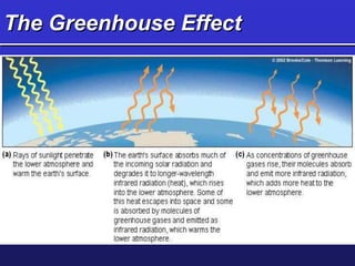 The Greenhouse Effect
 