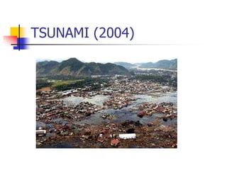 TSUNAMI (2004)
 