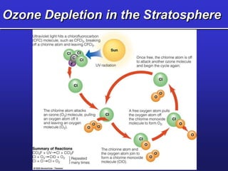 Ozone Depletion in the Stratosphere
 
