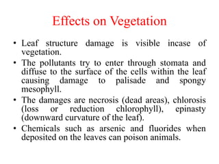 Effects on Vegetation
• Leaf structure damage is visible incase of
vegetation.
• The pollutants try to enter through stomata and
diffuse to the surface of the cells within the leaf
causing damage to palisade and spongy
mesophyll.
• The damages are necrosis (dead areas), chlorosis
(loss or reduction chlorophyll), epinasty
(downward curvature of the leaf).
• Chemicals such as arsenic and fluorides when
deposited on the leaves can poison animals.
 