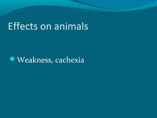Effects on animals
Weakness, cachexia
 