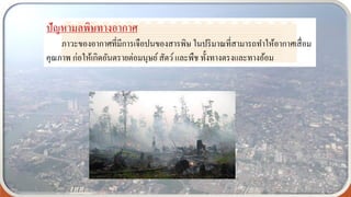 ปัญหามลพิษทางอากาศ
ภาวะของอากาศที่มีการเจือปนของสารพิษ ในปริมาณที่สามารถทาให้อากาศเสื่อม
คุณภาพ ก่อให้เกิดอันตรายต่อมนุษย์สัตว์และพืช ทั้งทางตรงและทางอ้อม
 