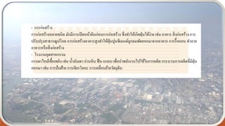 - การก่อสร้าง
การก่อสร้างหลายชนิด มักมีการเปิดหน้าดินก่อนการก่อสร้าง ซึ่งทาให้เกิดฝุ่นได้ง่าย เช่น อาคาร สิ่งก่อสร้าง การ
ปรับปรุงสาธารณูปโภค การก่อสร้างอาคารสูงทาให้ฝุ่นปูนซีเมนต์ถูกลมพัดออกมาจากอาคาร การรื้อถอน ทาลาย
อาคารหรือสิ่งก่อสร้าง
- โรงงานอุตสาหกรรม
การเผาไหม้เชื้อเพลิง เช่น น้ามันเตา ถ่านหิน ฟืน แกลบ เพื่อนาพลังงานไปใช้ในการผลิต กระบวนการผลิตที่มีฝุ่น
ออกมา เช่น การปั่นฝ้าย การเจียรโลหะ การเคลื่อนย้ายวัตถุดิบ
 