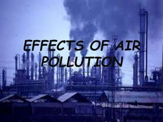 EFFECTS OF AIR
POLLUTION
 