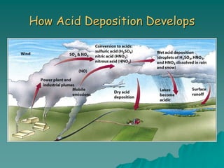 How Acid Deposition Develops
 
