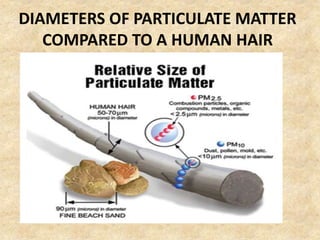 DIAMETERS OF PARTICULATE MATTER
COMPARED TO A HUMAN HAIR
 