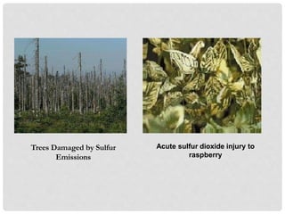 AIR POLLUTION.pptx