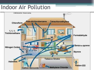 Indoor Air Pollution
 