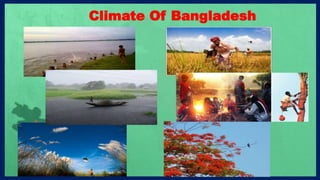 Air pollution and protection in Bangladesh | PPTX