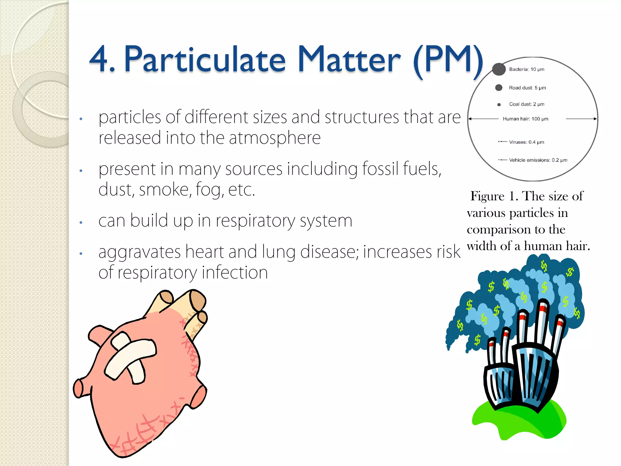 4. Particulate Matter (PM)
Figure 1. The size of
various particles in
comparison to the
width of a human hair.
 
