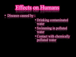 Effects on Humans
• Diseases caused by :
• Drinking contaminated
water
• Swimming in polluted
water
• Contact with chemically
polluted water
 