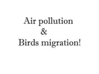 Air pollution
&
Birds migration!
 