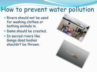 How to prevent water pollution
 Rivers should not be used

for washing clothes or
bathing animals in.
 Dams should be created.
 In sacred rivers like
Ganga dead bodies
shouldn’t be thrown.

 