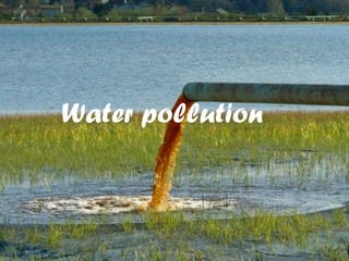 Causes of Water Pollution
 About 40% of Deaths
worldwide are caused by
Water Pollution.
 Water Pollution is Caused
by organsic and inorganic
industrial wastes and
affluents discharged into
rivers.
 