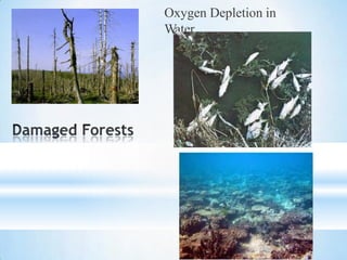Oxygen Depletion in
Water
 