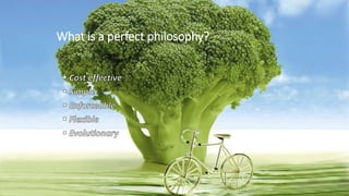 What is a perfect philosophy?
 