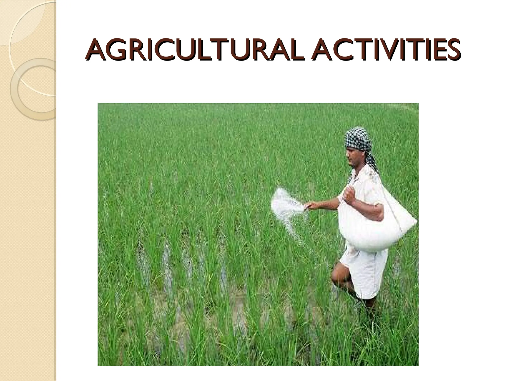 AGRICULTURAL ACTIVITIES
AGRICULTURAL ACTIVITIES
 