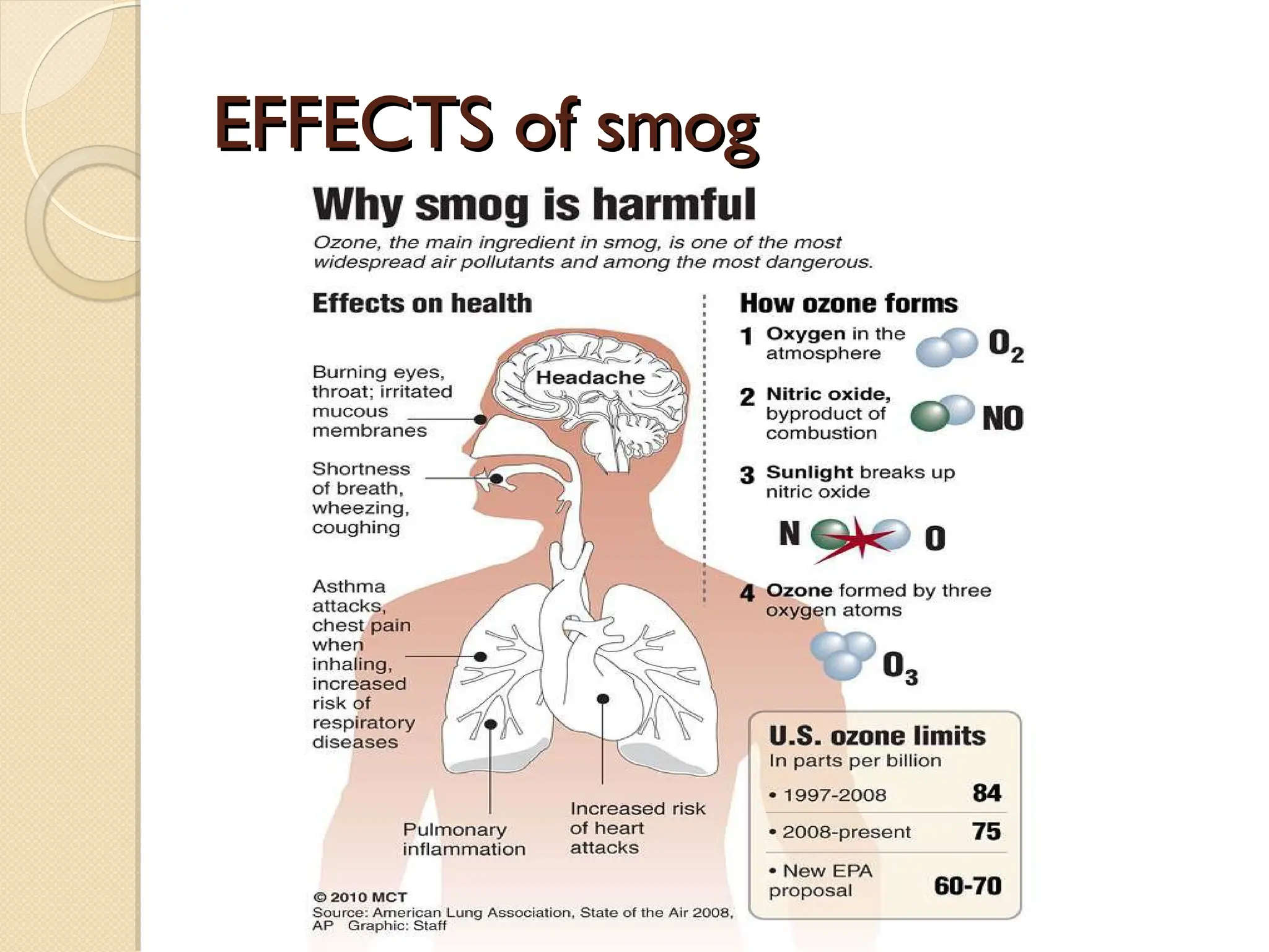 EFFECTS of smog
EFFECTS of smog
 