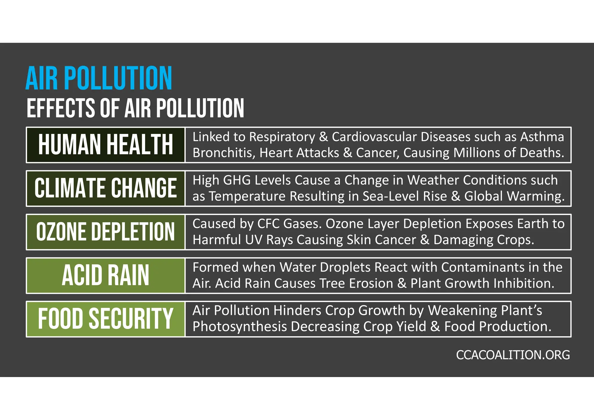 Linked to Respiratory & Cardiovascular Diseases such as Asthma
Bronchitis, Heart Attacks & Cancer, Causing Millions of Deaths.
human health
High GHG Levels Cause a Change in Weather Conditions such
as Temperature Resulting in Sea-Level Rise & Global Warming.
Climate change
Caused by CFC Gases. Ozone Layer Depletion Exposes Earth to
Harmful UV Rays Causing Skin Cancer & Damaging Crops.
Ozone depletion
Formed when Water Droplets React with Contaminants in the
Air. Acid Rain Causes Tree Erosion & Plant Growth Inhibition.
Acid Rain
Air Pollution Hinders Crop Growth by Weakening Plant’s
Photosynthesis Decreasing Crop Yield & Food Production.
Food security
Effects of air pollution
Air pollution
CCACOALITION.ORG
 