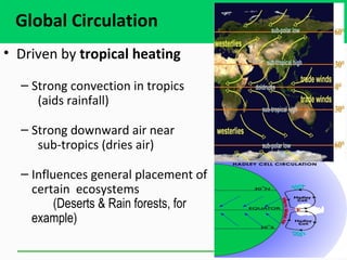 Global Circulation
• Driven by tropical heating
– Strong convection in tropics
(aids rainfall)
– Strong downward air near
sub-tropics (dries air)
– Influences general placement of
certain ecosystems
(Deserts & Rain forests, for
example)
 