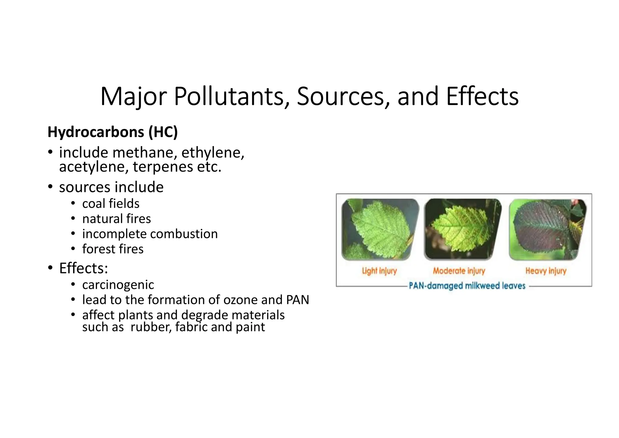 Major Pollutants, Sources, and Effects
Hydrocarbons (HC)
• include methane, ethylene,
acetylene, terpenes etc.
• sources include
• coal fields
• natural fires
• incomplete combustion
• forest fires
• Effects:
• carcinogenic
• lead to the formation of ozone and PAN
• affect plants and degrade materials
such as rubber, fabric and paint
 