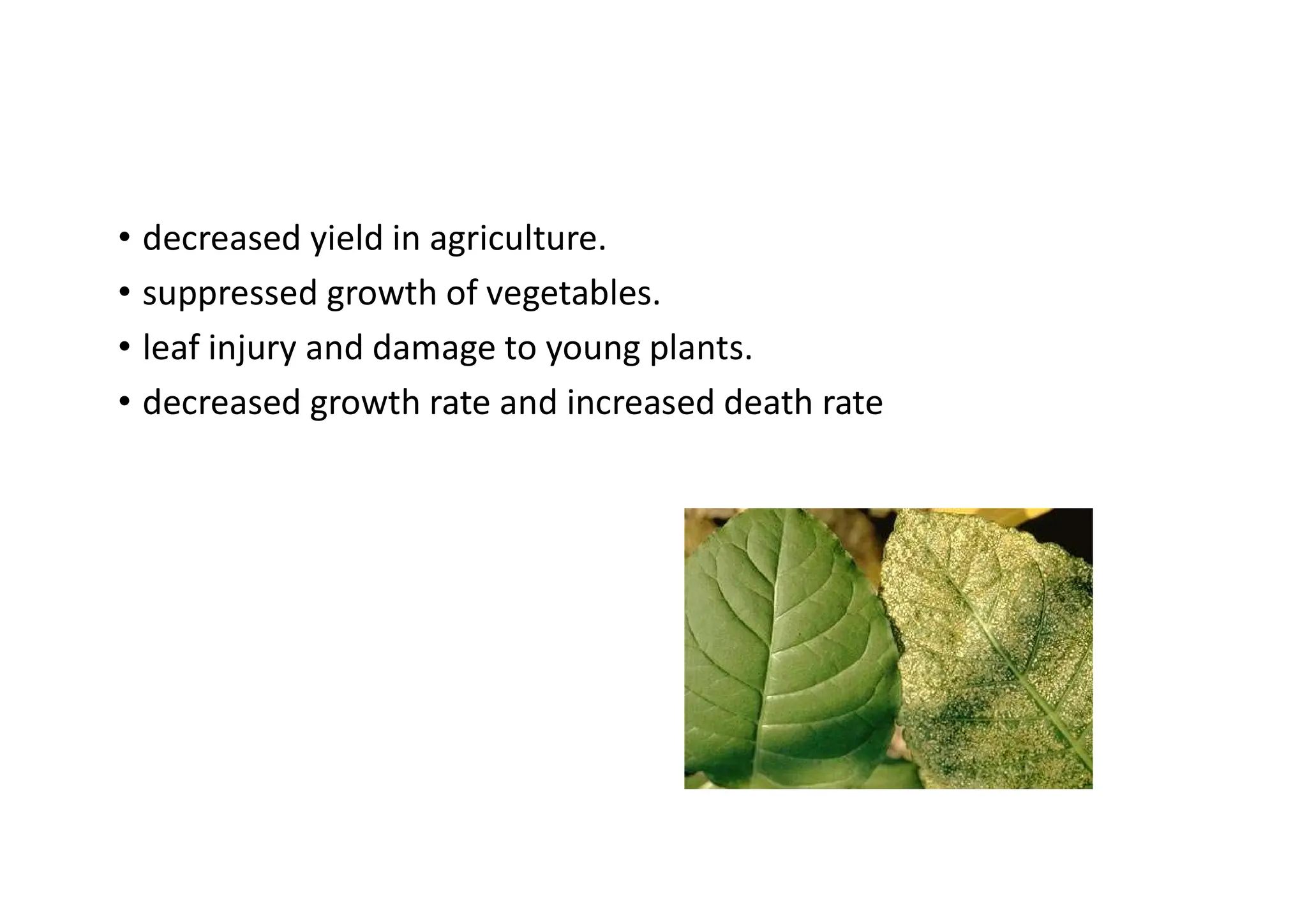 • decreased yield in agriculture.
• suppressed growth of vegetables.
• leaf injury and damage to young plants.
• decreased growth rate and increased death rate
 