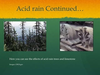 Acid rain Continued… 
Here you can see the effects of acid rain trees and limestone 
Images: USGS.gov 
 