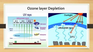 Ozone layer Depletion
 