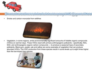 • Smoke and carbon monoxide from wildfires
• Vegetation, in some regions, emits environmentally significant amounts of Volatile organic compounds
(VOCs) on warmer days. These VOCs react with primary anthropogenic pollutants—specifically, NOx,
SO2, and anthropogenic organic carbon compounds — to produce a seasonal haze of secondary
pollutants. Black gum, poplar, oak and willow are some examples of vegetation that can produce
abundant VOCs. The VOC production from these species result in ozone levels up to eight times higher
than the low-impact tree species.
 