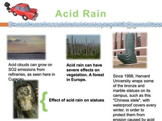 Acid clouds can grow on
SO2 emissions from
refineries, as seen here in
Curaçao.
Since 1998, Harvard
University wraps some
of the bronze and
marble statues on its
campus, such as this
"Chinese stele", with
waterproof covers every
winter, in order to
protect them from
erosion caused by acid
Acid rain can have
severe effects on
vegetation. A forest
in Europe.
Effect of acid rain on statues
 