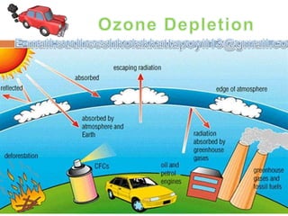 • Ozone exists in earth’s stratosphere and is responsible for protecting humans from
harmful ultraviolet (UV) rays. Earth’s ozone layer is depleting due to the presence of
chlorofluorocarbons, hydro chlorofluorocarbons in the atmosphere. As ozone layer
will go thin, it will emit harmful rays back on earth and can cause skin and eye
related problems. UV rays also have the capability to affect crops.
Image of the largest Antarctic
ozone hole ever recorded
(September 2006), over the
Southern pole
 