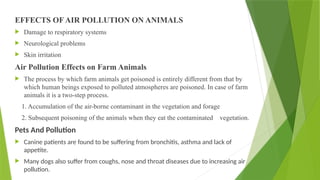 EFFECTS OF AIR POLLUTION ON ANIMALS
 Damage to respiratory systems
 Neurological problems
 Skin irritation
Air Pollution Effects on Farm Animals
 The process by which farm animals get poisoned is entirely different from that by
which human beings exposed to polluted atmospheres are poisoned. In case of farm
animals it is a two-step process.
1. Accumulation of the air-borne contaminant in the vegetation and forage
2. Subsequent poisoning of the animals when they eat the contaminated vegetation.
Pets And Pollution
 Canine patients are found to be suffering from bronchitis, asthma and lack of
appetite.
 Many dogs also suffer from coughs, nose and throat diseases due to increasing air
pollution.
 