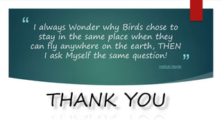 “
”
I always Wonder why Birds chose to
stay in the same place when they
can fly anywhere on the earth, THEN
I ask Myself the same question!
HARUN YAHYA
THANK YOU
 