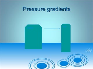 Pressure gradientsPressure gradients
HIGH
low
 