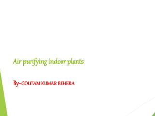Air purifying indoor plants
By- GOUTAM KUMAR BEHERA
By-GOUTAMKUMAR BEHERA
 