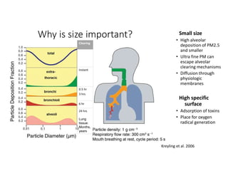 Why is size important?
Kreyling et al. 2006
Small size
• High alveolar
deposition of PM2.5
and smaller
• Ultra fine PM can
escape alveolar
clearing mechanisms
• Diffusion through
physiologic
membranes
High specific
surface
• Adsorption of toxins
• Place for oxygen
radical generation
Clearing
Instant
0.5 hr
3 hrs
6 hr
24 hrs
Lung
tissue:
Months,
years
 