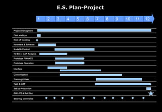 E.S. Plan-Project
1 2 3 4 5 6 8 9 10 11 12
Project managment
First analisys
Kick off meeting
Hardware & Software
Model & Control
TO BE e GAP Analysis
Prototype FINANCE
Prototype Operation
Interface
Customization
Training K.User
Test & UAT
Set up Production
GO LIVE & Roll Out
Steering commetee
i
7
 