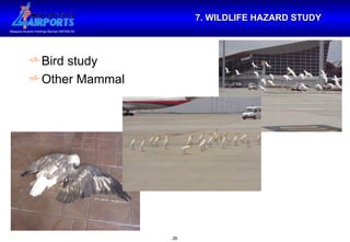 7. WILDLIFE HAZARD STUDY Bird study Other Mammal 