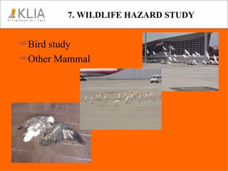7. WILDLIFE HAZARD STUDY Bird study Other Mammal 
