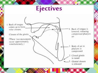 Ejectives
 