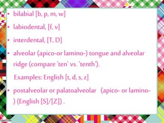 • bilabial[b, p,m, w]
• labiodental,[f, v]
• interdental, [T,D]
• alveolar (apico-orlamino-)tongue andalveolar
ridge (compare 'ten' vs.'tenth').
Examples:English[t, d,s, z]
• postalveolar or palatoalveolar (apico-or lamino-
)(English [S]/[Z]).
 